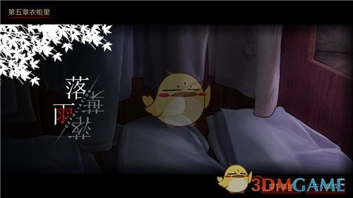 贵州一地突降冰雹 有人受伤鸡被砸死